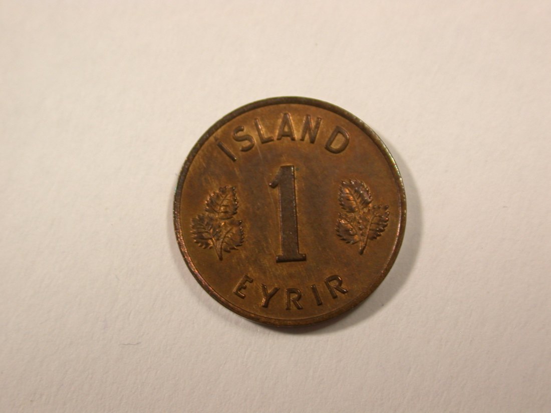  H16 Island   1 Eyrir 1956 in vz-st   Originalbilder   