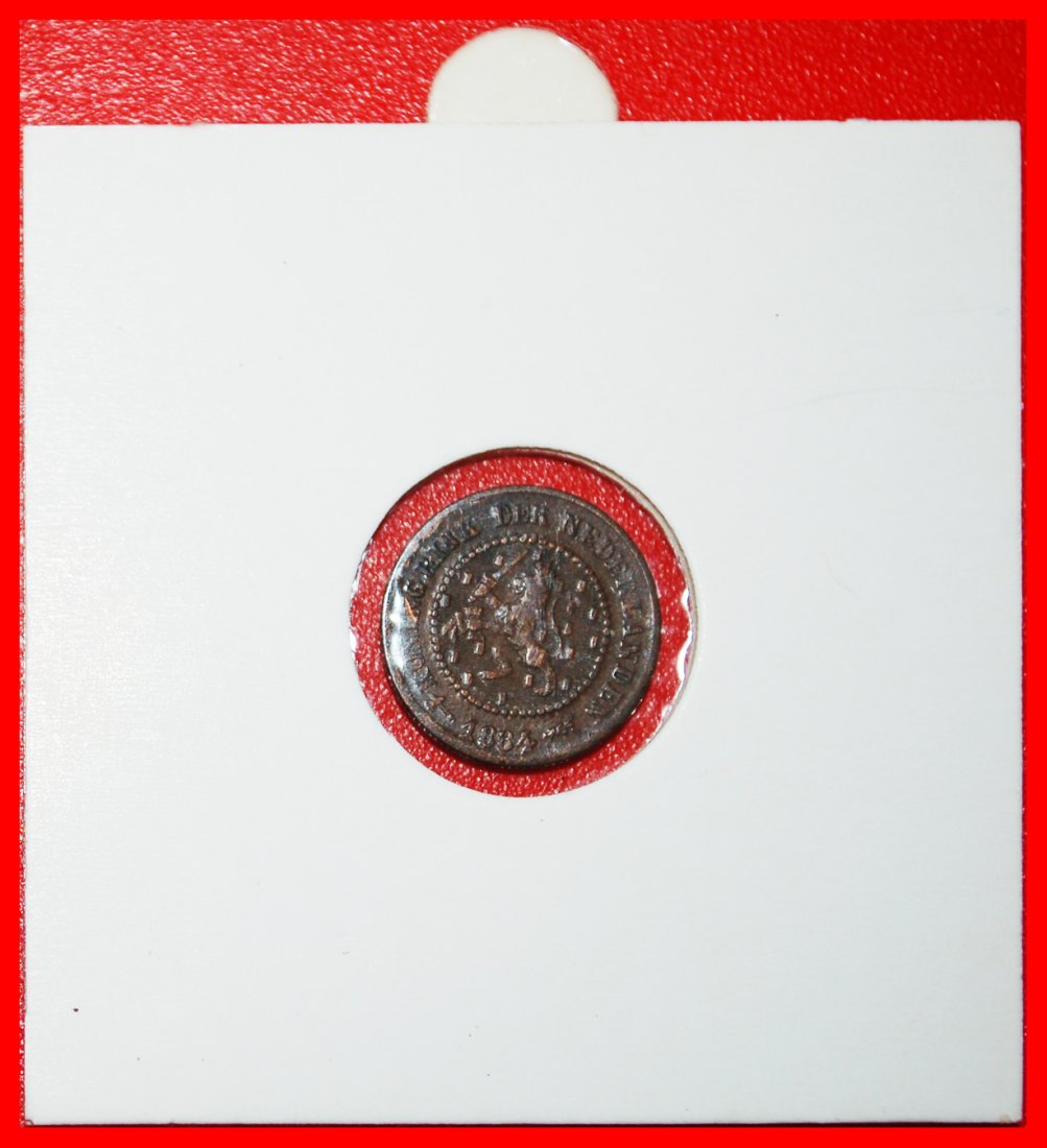  * LÖWE (1878-1900): NIEDERLANDE ★ 1/2 CENT 1884! WILHELM III. (1849-1890) PACKUNG!★OHNE VORBEHALT!   