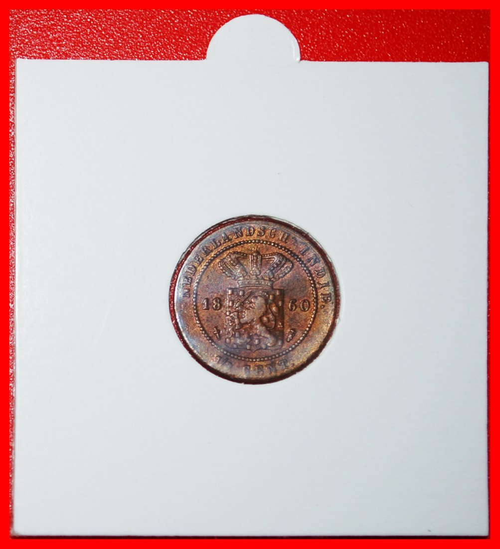 * LION (1855-1909): NETHERLANDS EAST INDIES ★ 1/2 CENT 1860! IN HOLDER! ★LOW START ★ NO RESERVE!