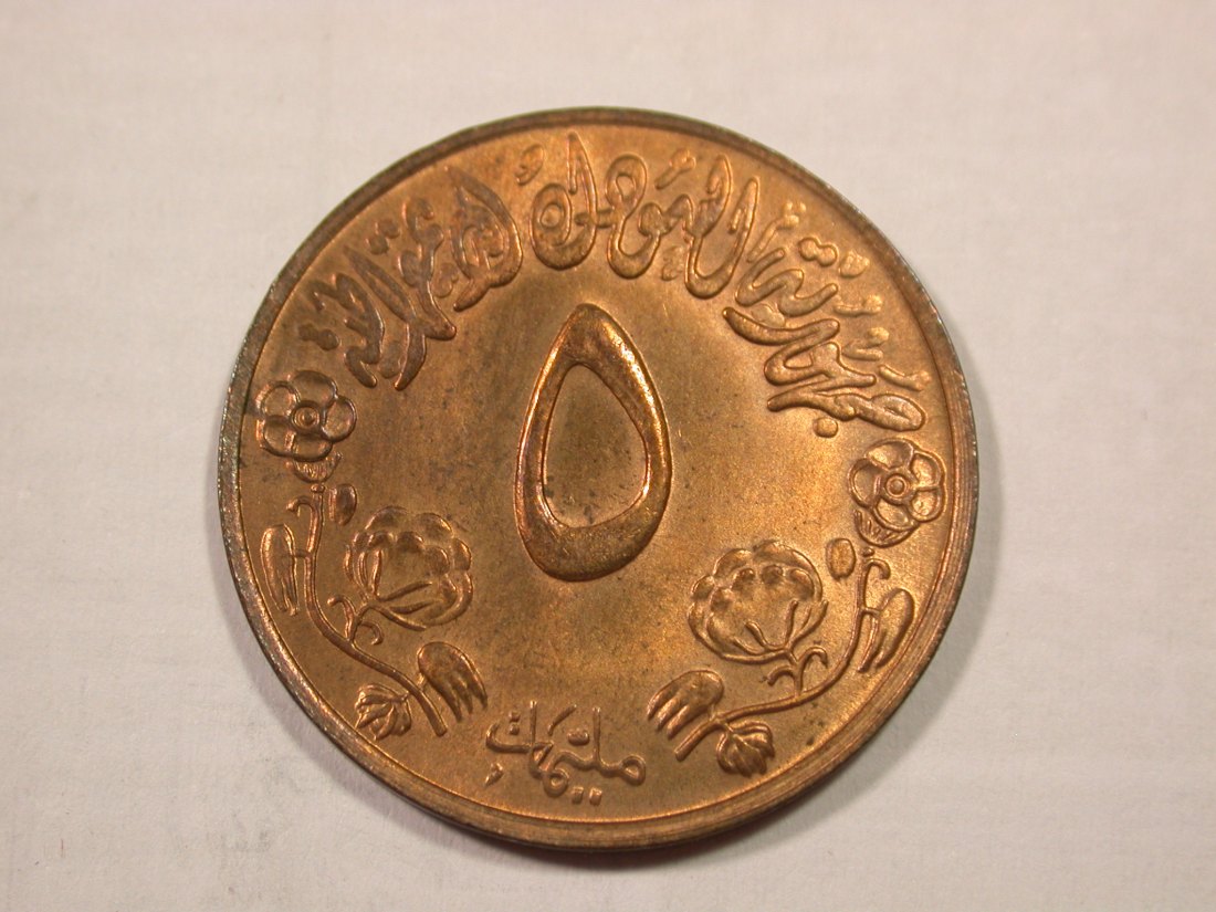 H18 Ägypten 5 Millim UNC Originalbilder