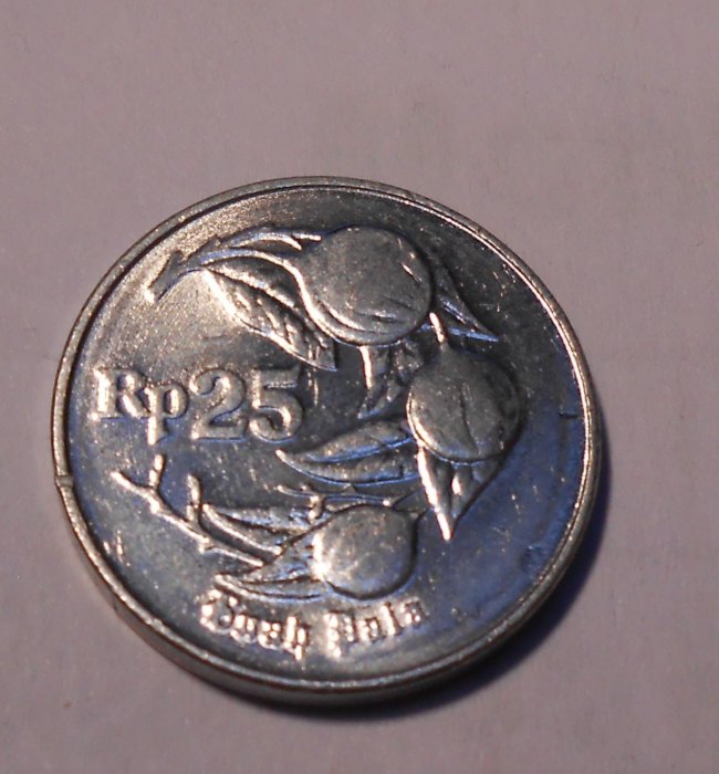  M.65. Indonesien, 25 Rupiah 1994, Aluminium   