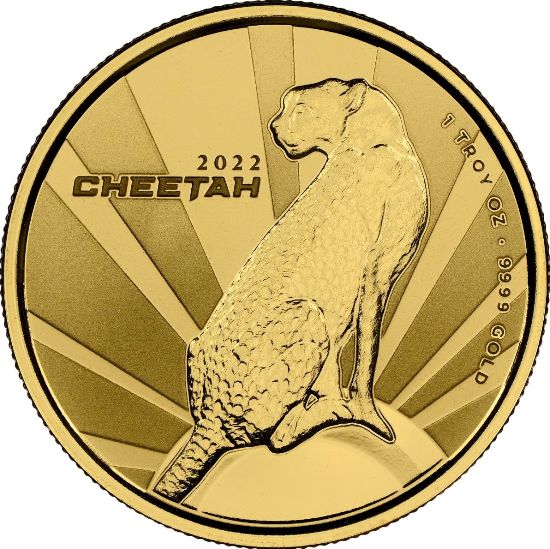  Kamerun 3000 Francs 2022 | NGC PF70 TOP POP Proof | Cheetah (Gepard)   