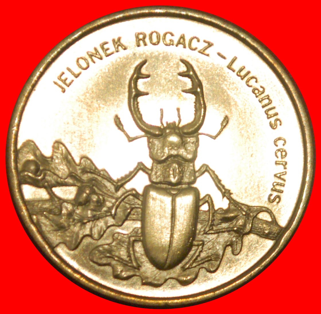  * STAG BEETLE RARE: POLAND ★ 2 ZLOTY 1997 NORDIC GOLD UNC MINT LUSTRE! ★LOW START ★ NO RESERVE!   