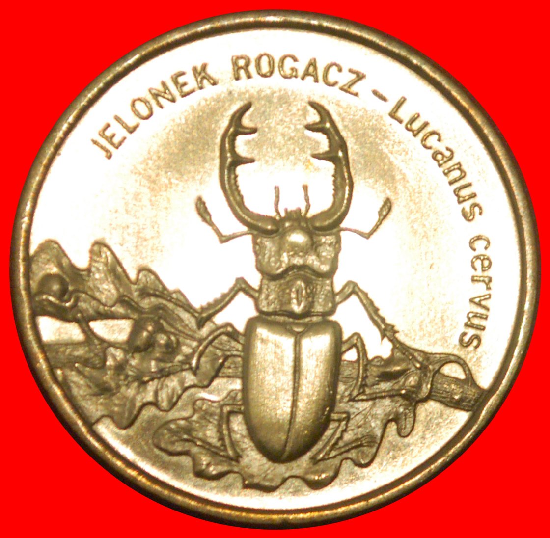* STAG BEETLE RARE: POLAND ★ 2 ZLOTY 1997 NORDIC GOLD UNC MINT LUSTRE! ★LOW START ★ NO RESERVE!