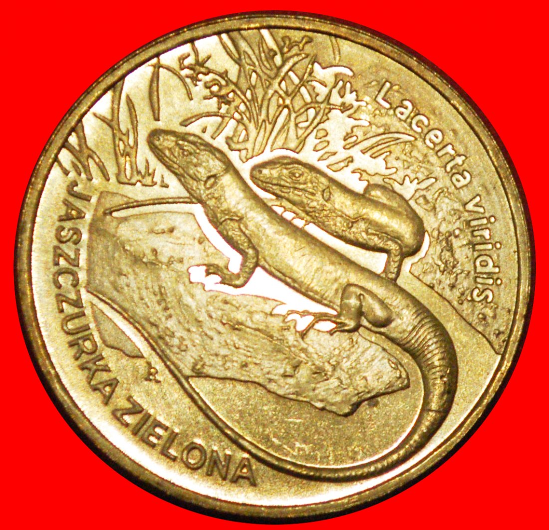 * LIZARD: POLAND ★ 2 ZLOTY 2009 NORDIC GOLD UNC MINT LUSTRE! ★LOW START ★ NO RESERVE!