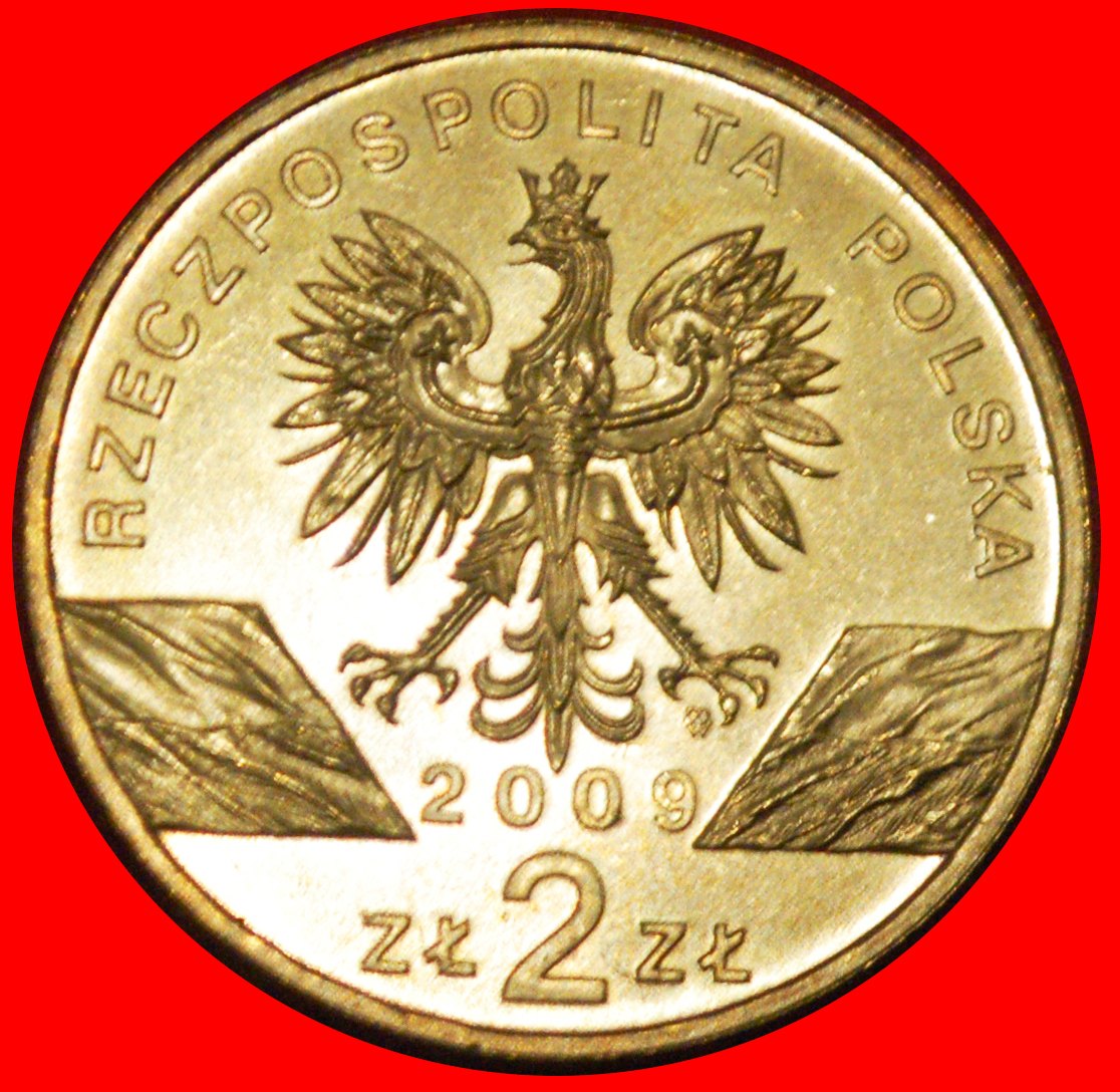  * LIZARD: POLAND ★ 2 ZLOTY 2009 NORDIC GOLD UNC MINT LUSTRE! ★LOW START ★ NO RESERVE!   