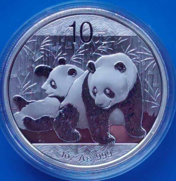 China 10 Yuan 2010 Panda 1 OZ 999 Silber in Orig Kapsel