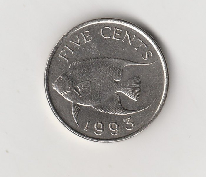  5 Cent Bermuda 1993 (M877)   