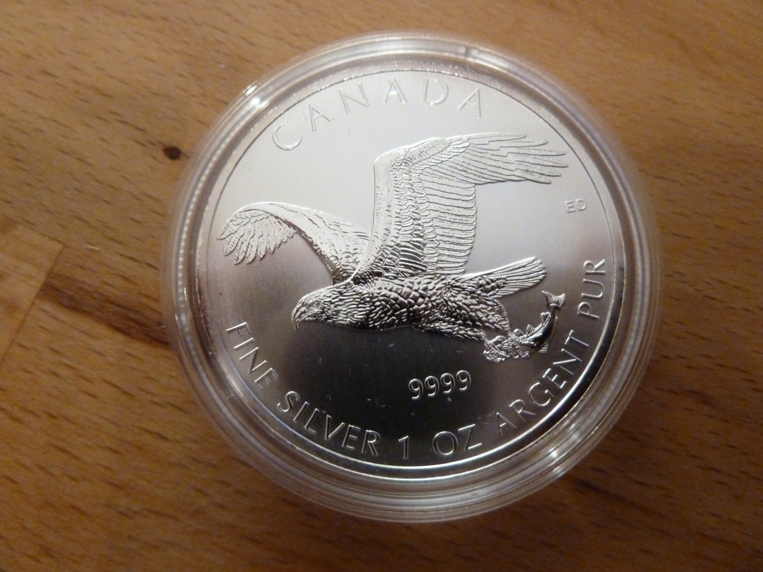  Canada 5 $ 2014 Birds of Prey - Eagle/Adler 1 Unze Silber BU   