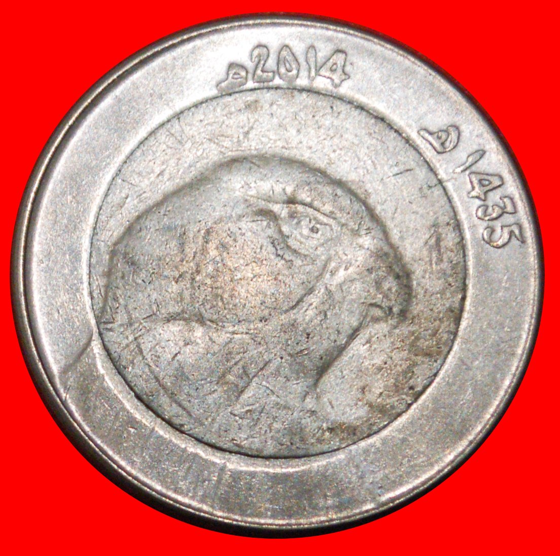 * FALCON (1992-2022): ALGERIA ★ 10 DINARS 1435-2014! LOW START ★ NO RESERVE!