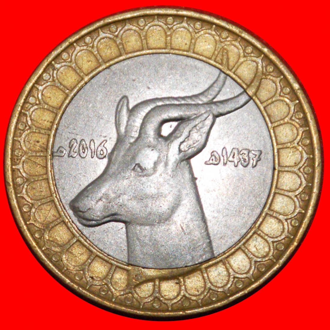  * GAZELLE (1992-2021): ALGERIEN ★ 50 DINAR 1437-2016! OHNE VORBEHALT!   