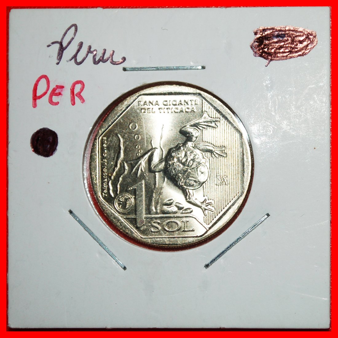  * TITICACA FROG: PERU ★ 1 SOL 2019 UNC MINT LUSTRE! IN HOLDER!★LOW START ★ NO RESERVE!   