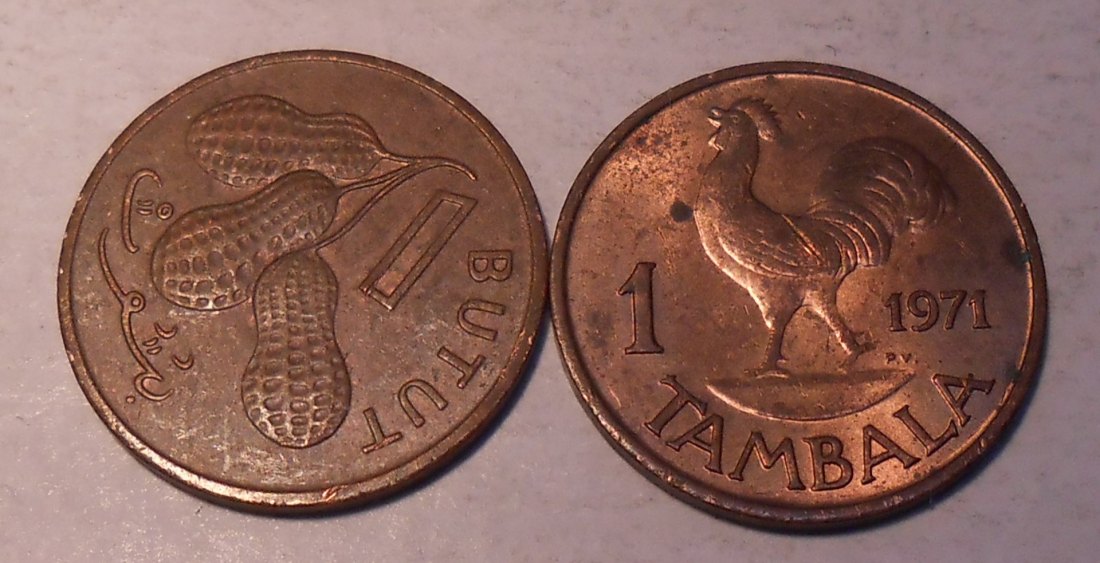  TK17 Gambia/Malawi 2er Lot, 1 Butut 1971, 1 Tambala 1971   