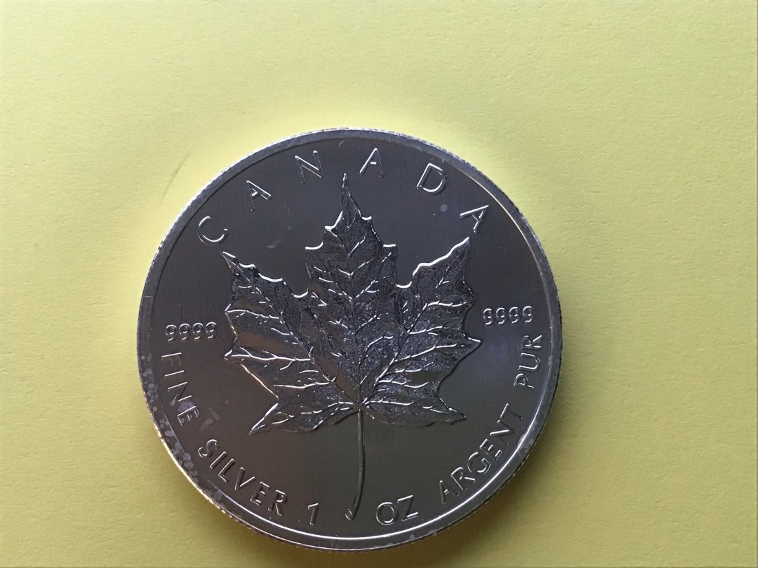  1 Ex. - CANADA MAPLE LEAF 5 Dollar-Silber 999/1000- Jahrgang 2013 - 1 oZ –   