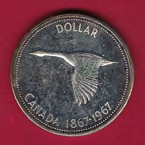  Canada 1 Dollar 1967 Silber 23,15 g. Münzen und Goldankauf Golden Gate Frank Maurer AB022   