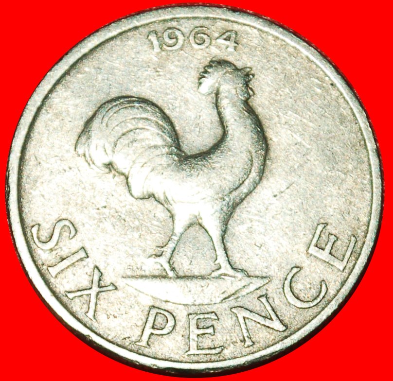  * GREAT BRITAIN: MALAWI ★6 PENCE 1964 COCK! Banda (1963-1994) DISCOVERY COIN★LOW START ★ NO RESERVE!   