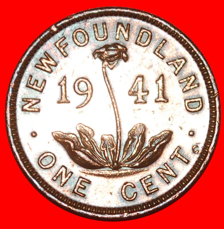  * CANADA 1940-1947: NEWFOUNDLAND ★ 1 CENT 1941! GEORGE VI (1937-1952)★LOW START ★ NO RESERVE!   