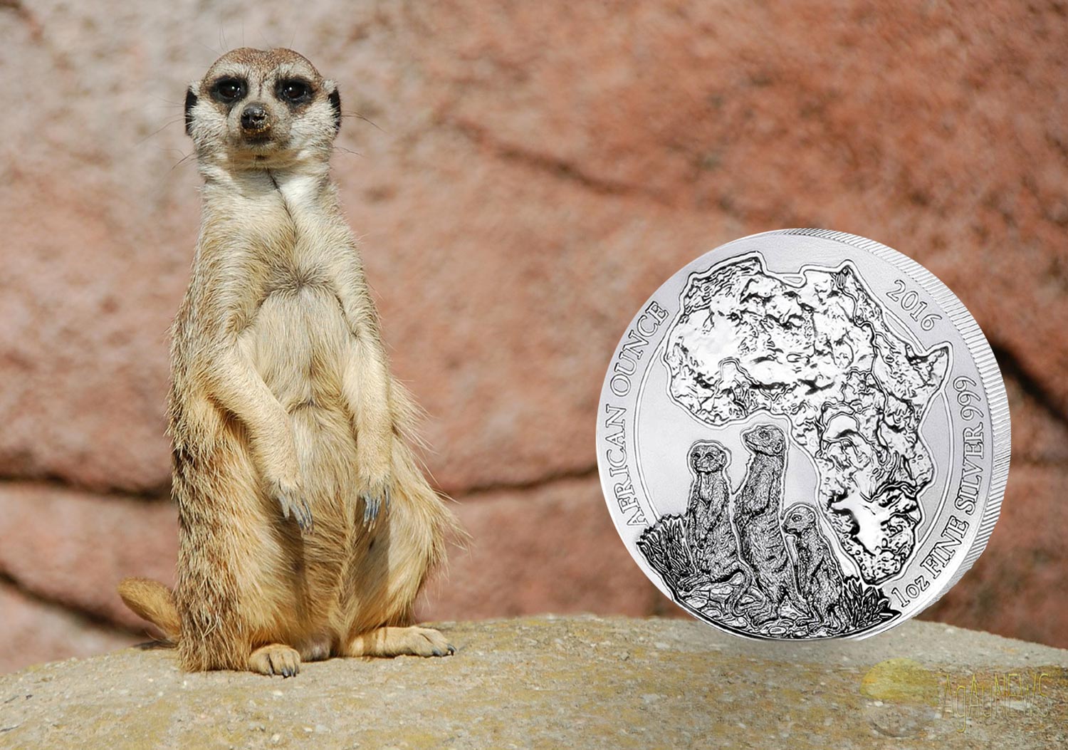  RWANDA Bullion Coin 2016 Meerkats BU - 1 Unze Fein Silber   