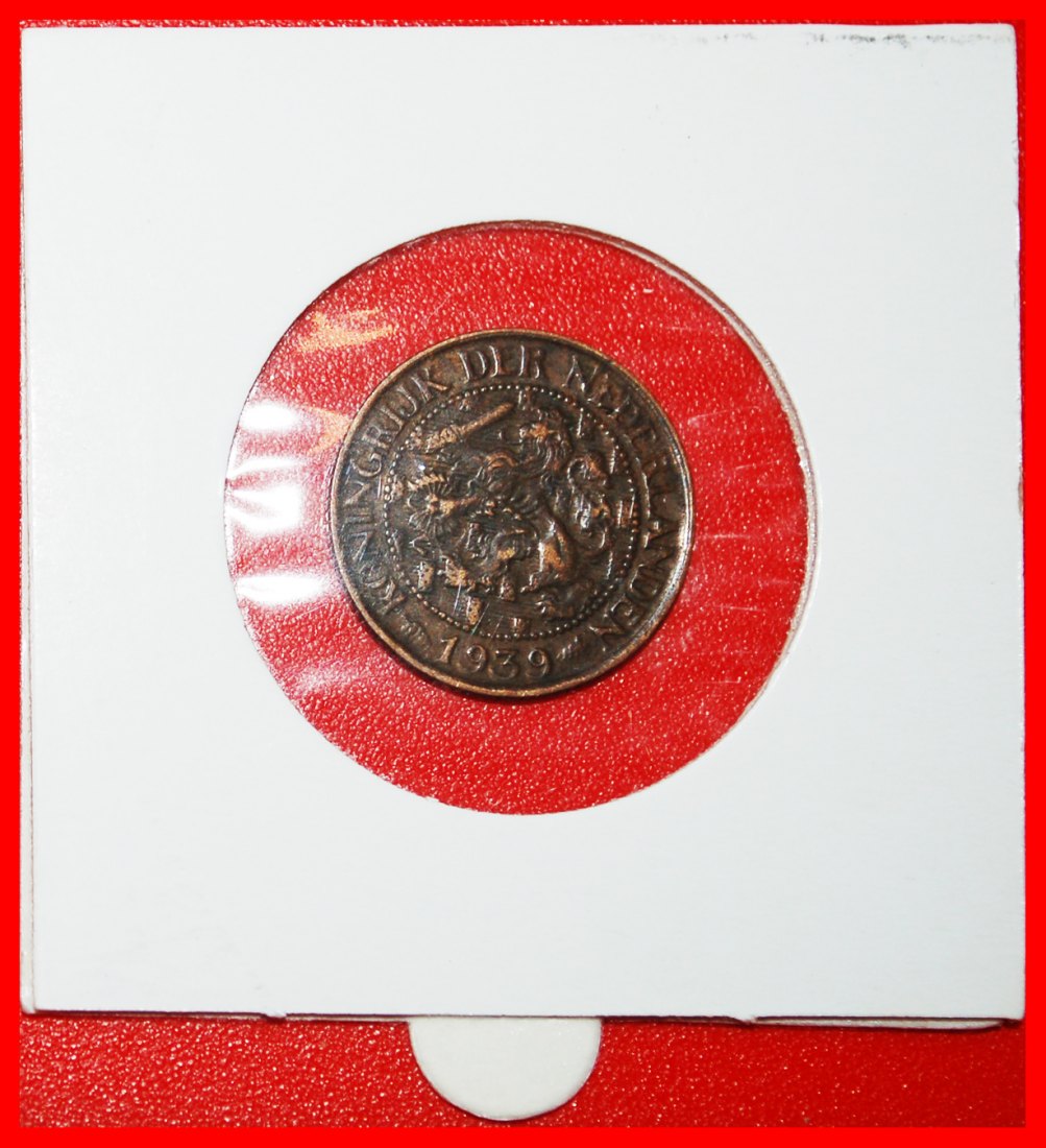  * LION (1913-1941): NETHERLANDS ★ 1 CENT 1939! WILHELMINA (1890-1948) HOLDER★LOW START ★ NO RESERVE!   