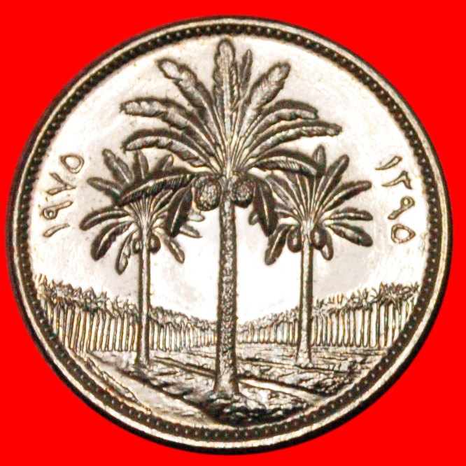  * PALM-TREES★ IRAQ ★ 50 FILS 1975-1395 UNC! ★LOW START ★ NO RESERVE!!!   