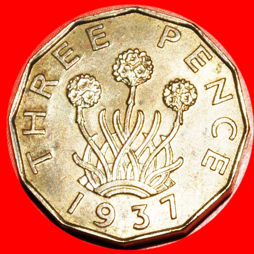  * THRIFT PLANT (1937-1948)★ GREAT BRITAIN ★ 3 PENCE 1937 GEORGE VI (1937-1952★LOW START★ NO RESERVE!   