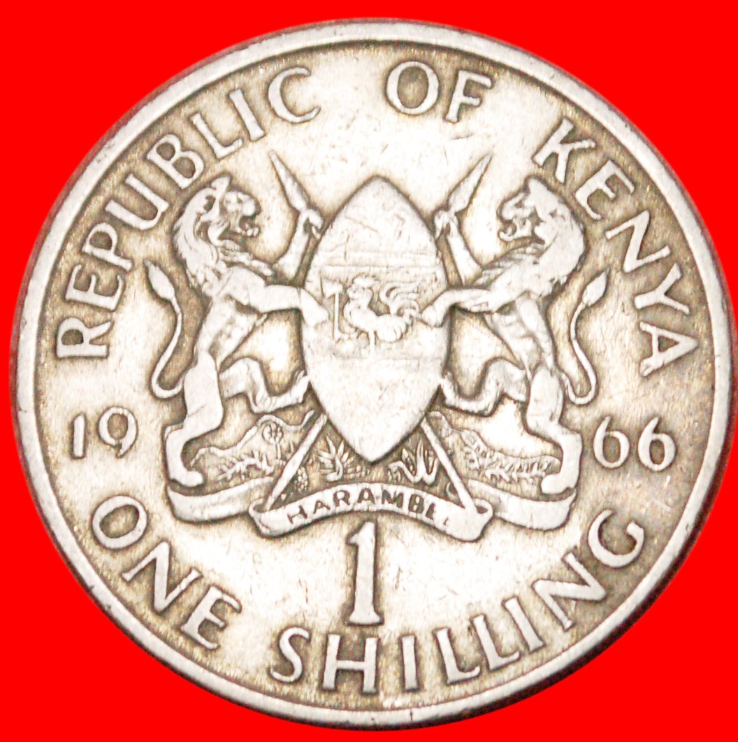  * WITHOUT LEGEND★ KENYA★ 1 SHILLING 1966!★LOW START★ NO RESERVE!   