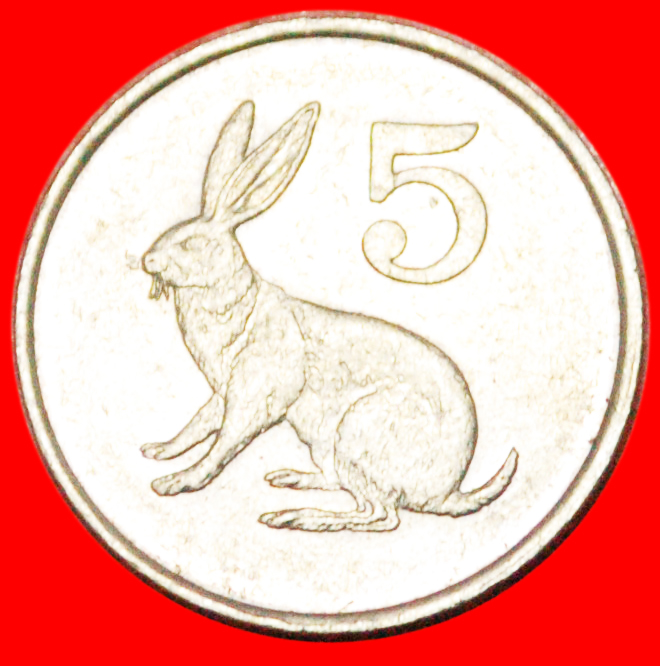  * RED ROCK HARE: ZIMBABWE ★ 5 CENTS 1990! LOW START ★ NO RESERVE!   