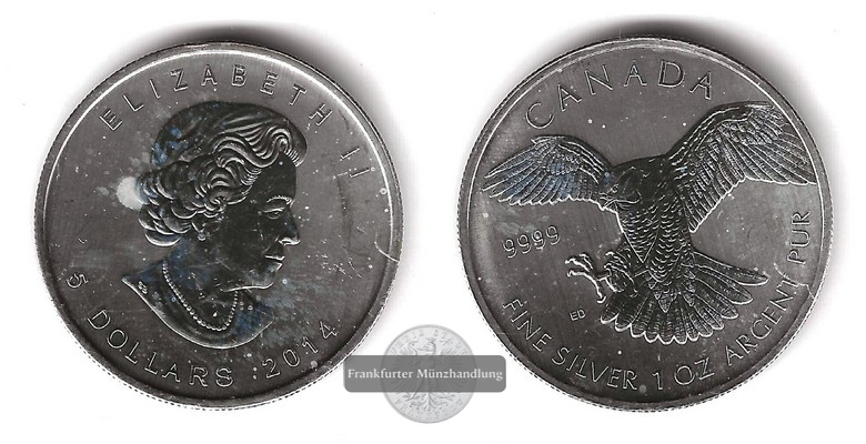  Kanada  5 Dollar 2014  Birds of Prey - Falcon    FM-Frankfurt    Feinsilber: 31,1g   