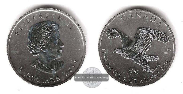  Kanada  5 Dollar 2014  Birds of Prey - Eagle    FM-Frankfurt    Feinsilber: 31,1g   