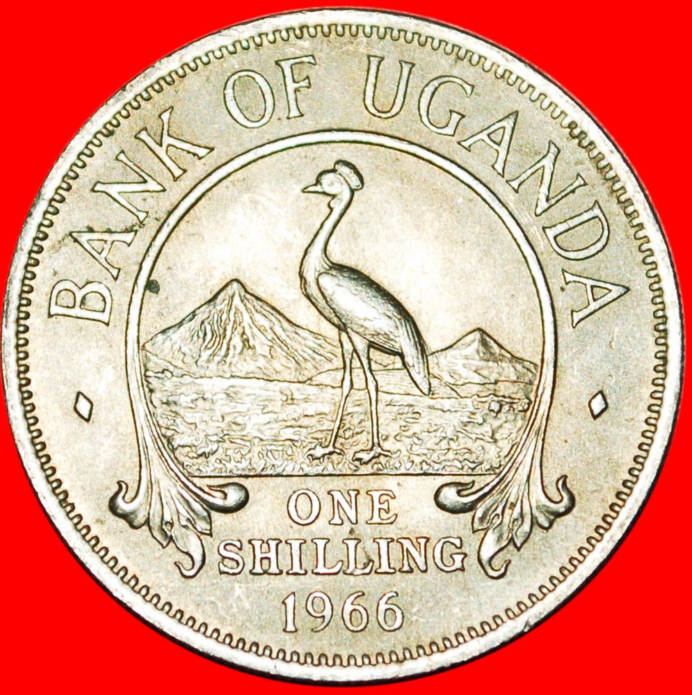  * CRANE: UGANDA ★1 SHILLING 1966! LOW START ★ NO RESERVE!   