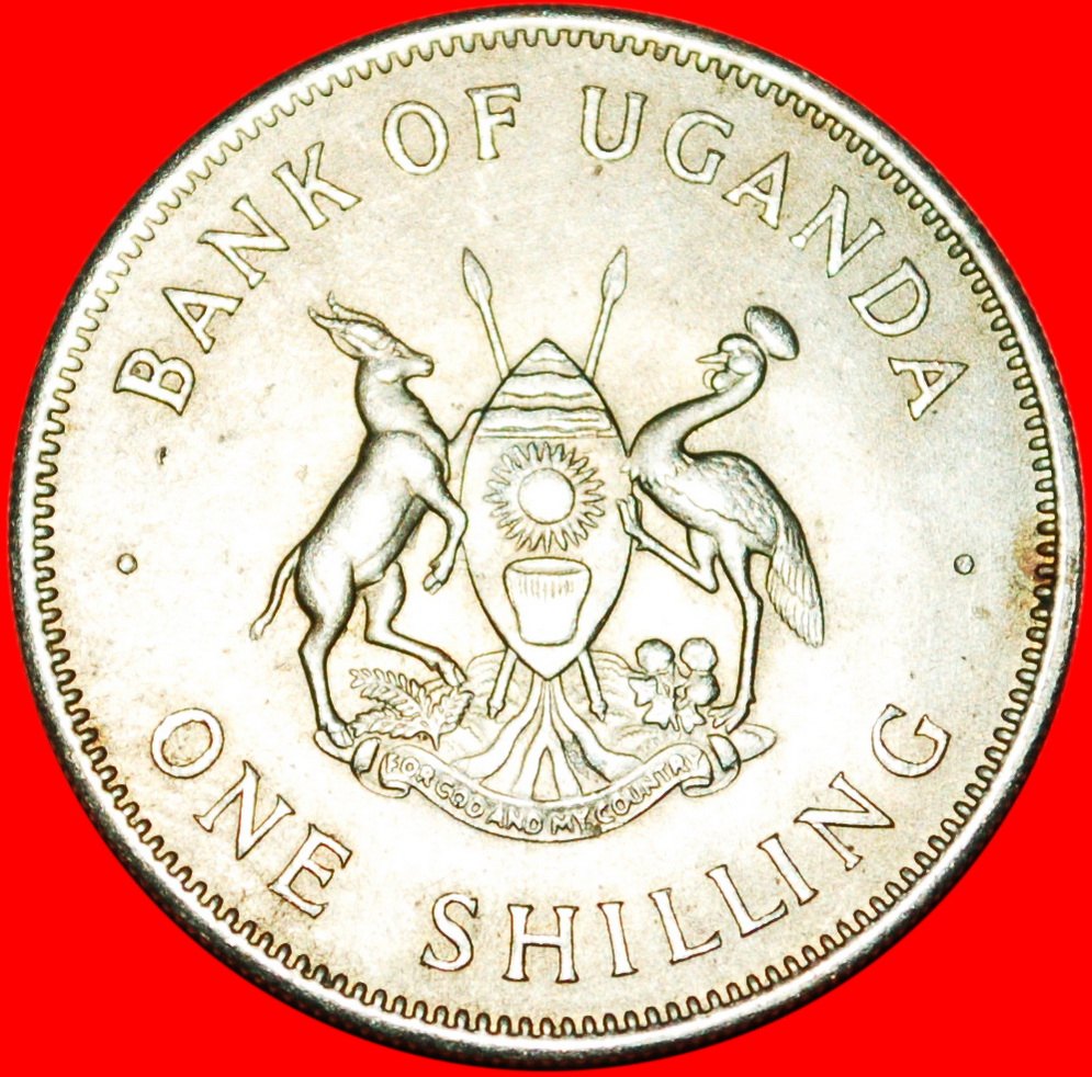  * CRANE: UGANDA ★1 SHILLING 1966! LOW START ★ NO RESERVE!   