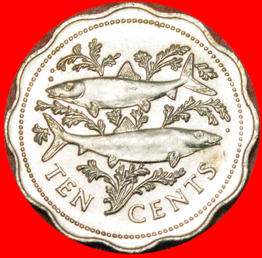  * FISH (1974-2005): THE BAHAMAS ★ 10 CENTS 2000! ELIZABETH II (1953-2022) ★LOW START ★ NO RESERVE!   