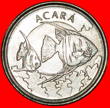  * FISH (1992-1993): BRAZIL ★ 1000 CRUZEIROS 1993 INFLATION! ★LOW START ★ NO RESERVE!   