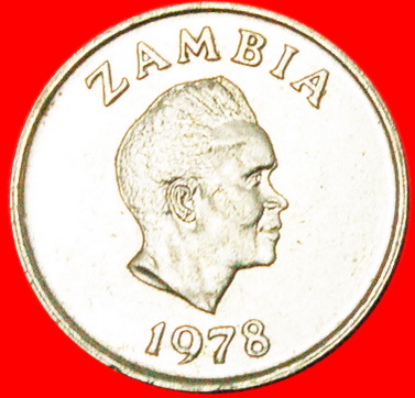  * GREAT BRITAIN (1968-1987): ZAMBIA ★ 5 NGWEE 1978 FLOWER UNCOMMON! ★LOW START★ NO RESERVE!!!   