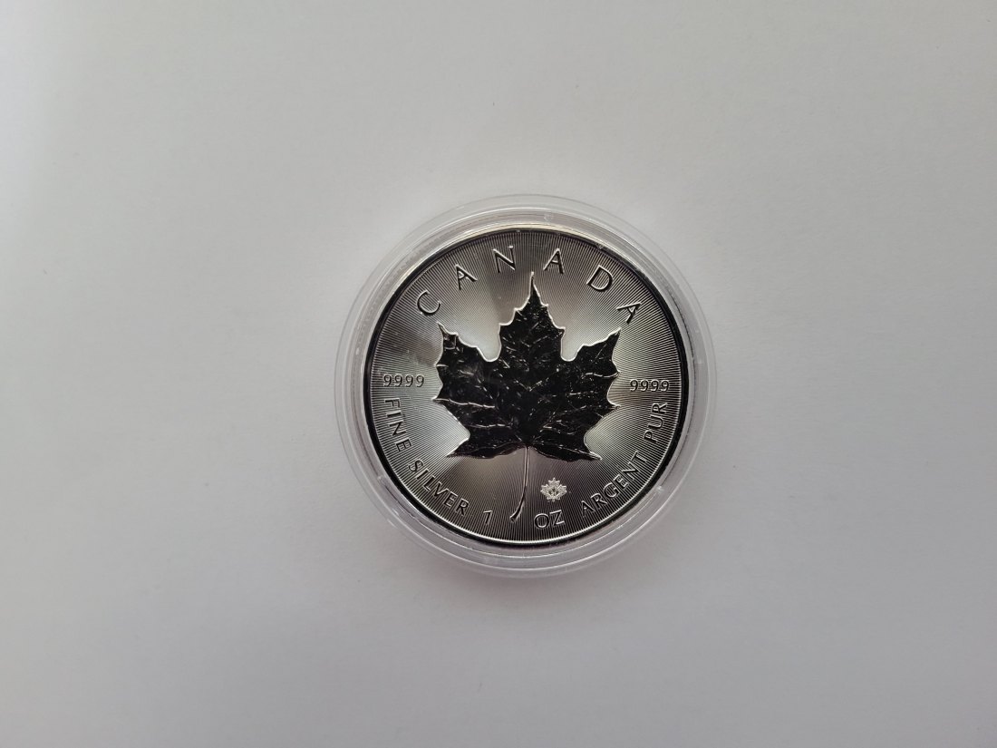  5 Dollar 2021 Maple Leaf 1 Oz 999,9/31,1g silber Canada Kanada Spittalgold9800 (5378)   