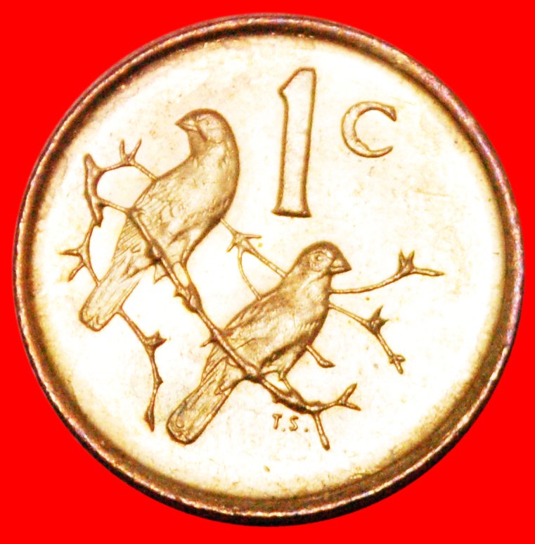  * CAPE SPARROWS (1970-1989): SOUTH AFRICA ★ 1 CENT 1989 UNC! ★LOW START★ NO RESERVE!   