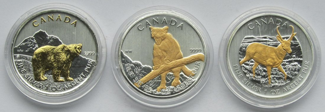  Kanada: Drei Silberunzen Wildlife, teilvergoldet, zusammen 93,3 g Feinsilber   