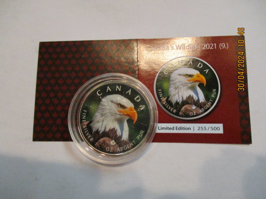  5 Dollars Kanada Wildlife 2021 Bald Eagle mit Zertifikat BU/ Color   