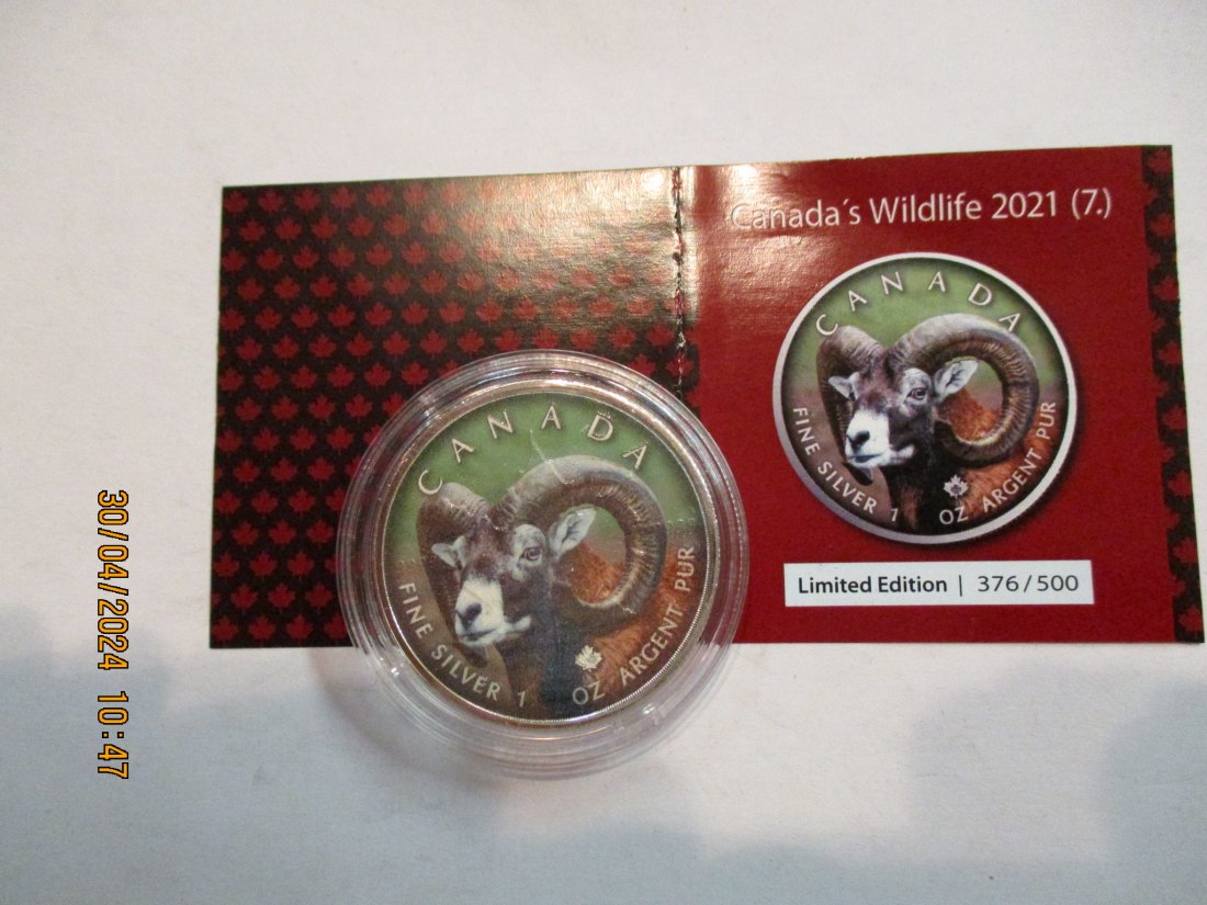  5 Dollars Kanada Wildlife 2021 Big Horn Sheep mit Zertifikat BU/ Color   