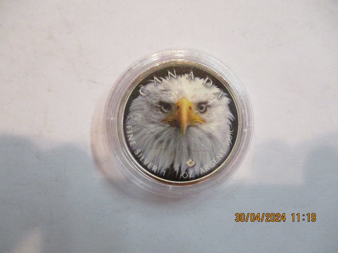  5 Dollars Kanada Wildlife 2019 Bald Eagle mit Zertifikat BU/ Color   