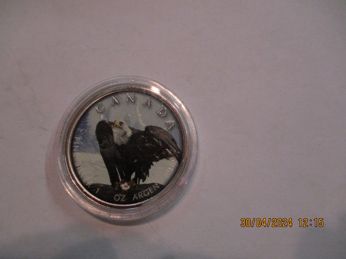  5 Dollars Kanada Wildlife 2019 Bald Eagle mit Zertifikat BU/ Color   
