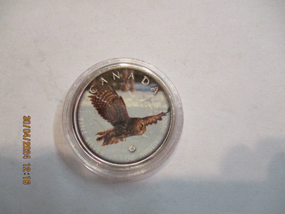  5 Dollars Kanada Wildlife 2019 Owl mit Zertifikat BU/ Color   