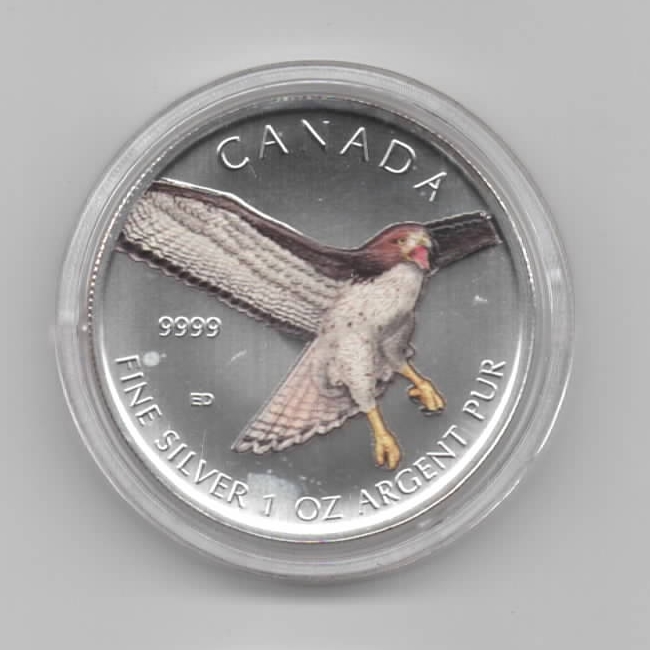  Kanada, Birds of prey, 5 Dollar 2015 Rotschwanz Bussard, Colormünze Farbmünze, 1 unze oz Silber   