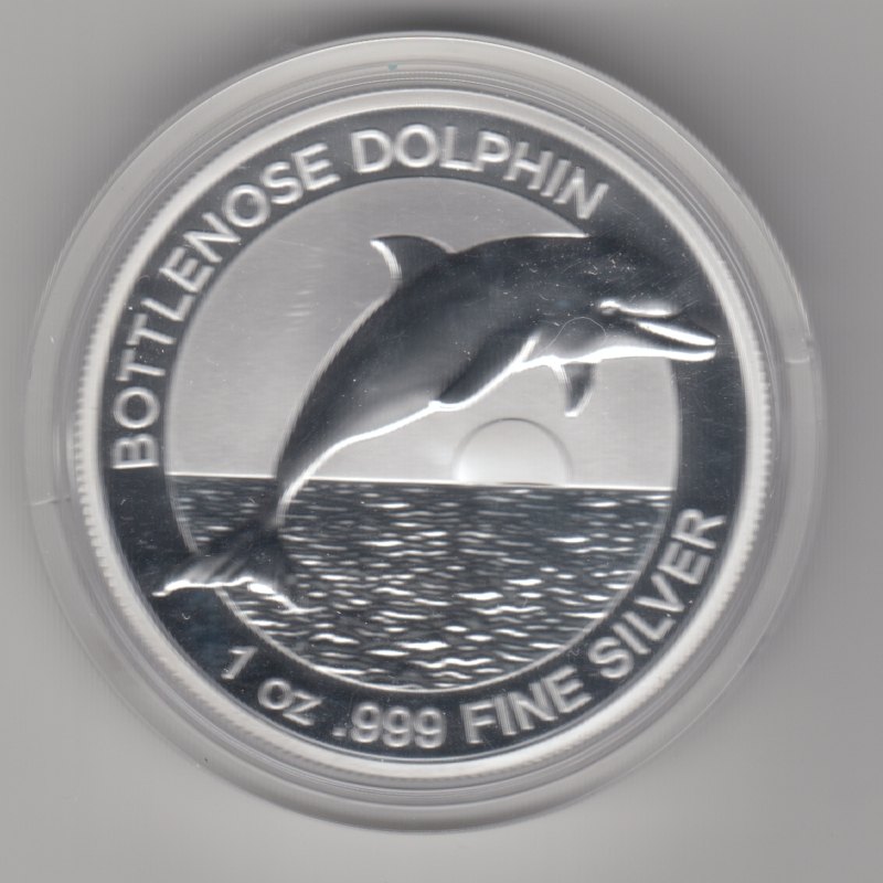  Australien, 1 Dollar 2019, Bottlenose Dolphin, Delfin, 1 unze oz 999 Silber   