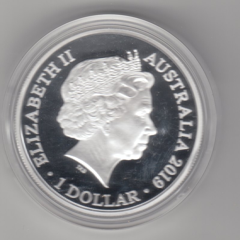  Australien, 1 Dollar 2019, Bottlenose Dolphin, Delfin, 1 unze oz 999 Silber   