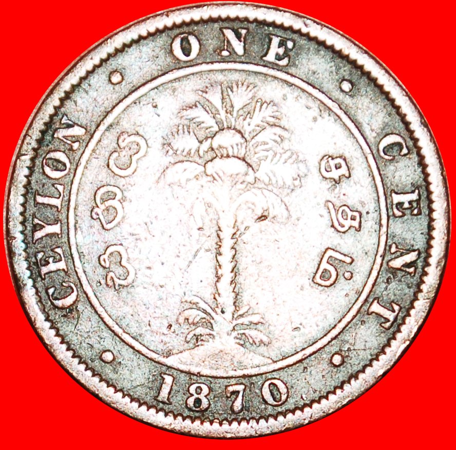  * PALM TREE: CEYLON ★ 1 CENT 1870! VICTORIA (1837-1901)! LOW START ★ NO RESERVE!   