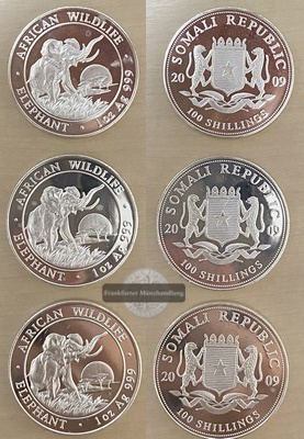  Somalia  3x 100 Schilling  2009 African Wildlife - Elephant   FM-Frankfurt  Feinsilber: 93,3g   