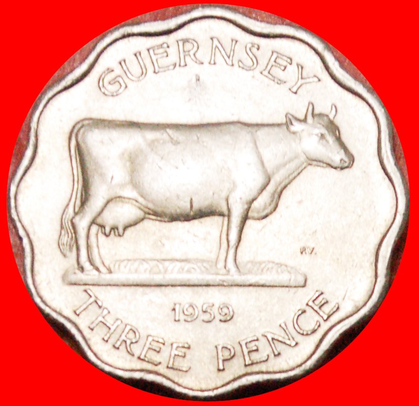  * GREAT BRITAIN: GUERNSEY★3 PENCE 1959 COW★THICK FLAN★ELIZABETH II 1953-2022★LOW START ★ NO RESERVE!   
