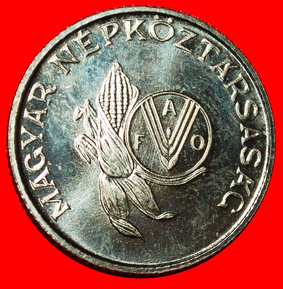 * COMMUNIST WHEAT: HUNGARY ★ 5 FORINTS 1983 FAO RARE UNC MINT LUSTRE!★LOW START ★ NO RESERVE!