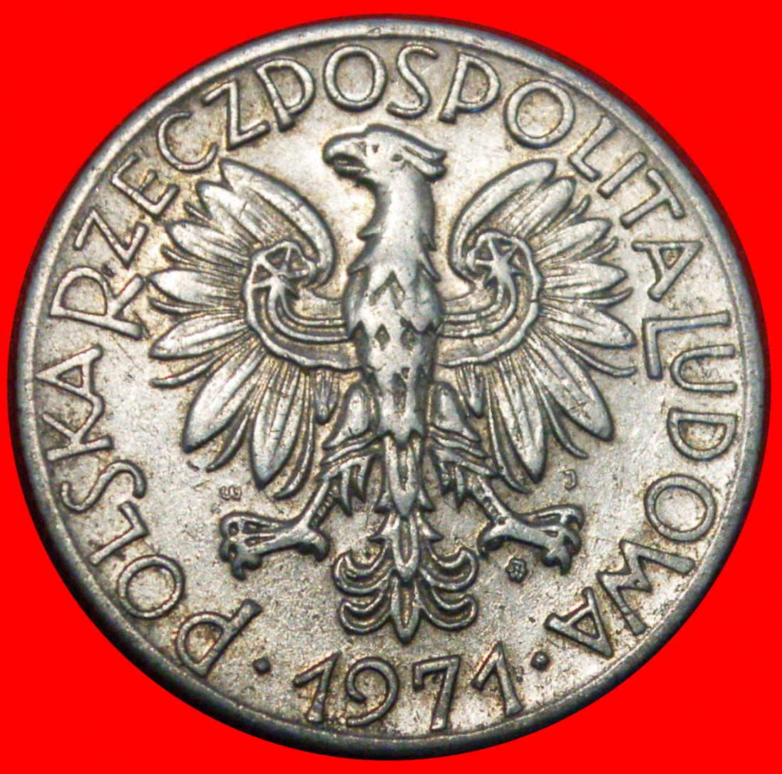  * SOZIALISTISCHE FISCHER (1958-1974): POLEN ★ 5 ZLOTY 1971 SELTEN!★OHNE VORBEHALT   